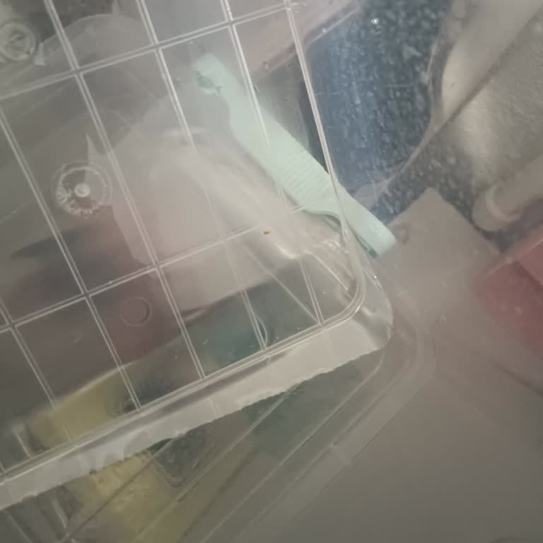 ECA Kombi Su Kaçağı Kabusu