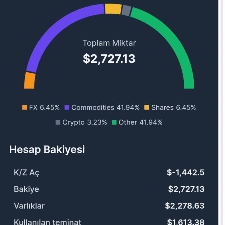 Yatırım Platformunda Şüpheli İşlemler Ve Büyük Kayıplar