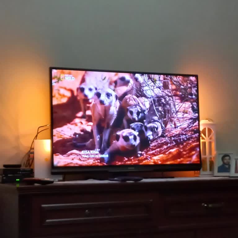 Philips TV'de Sürekli Ses Kesintisi Ve Kapanma Sorunu