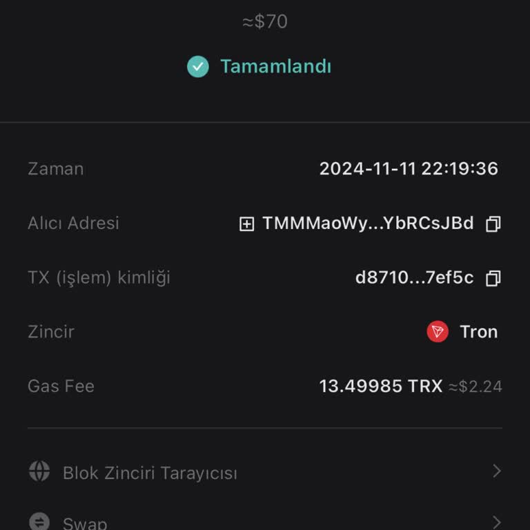 Bybit'te Kayıp Para Ve Ulaşılamayan Destek