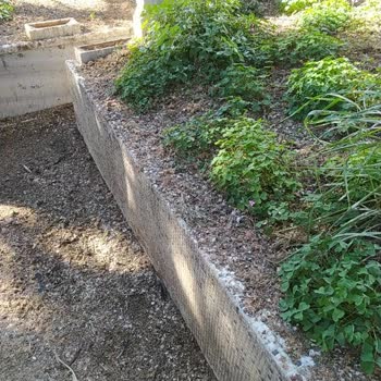 İstanbul Büyükşehir Belediyesi Büyükçekmece Mezarlığında Kurumuş Ağaçlar Ve Kuş Pisliği Sorunu