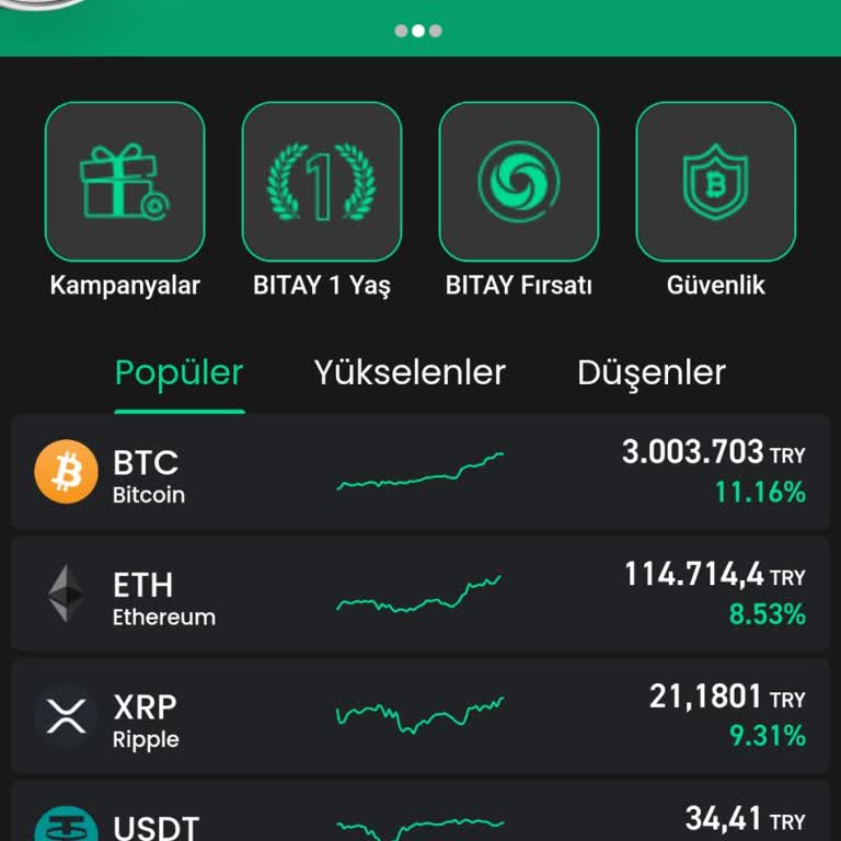 Giriş Sorunu Ve Ulaşılamayan Destek