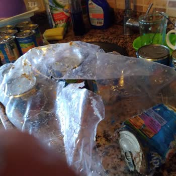 Damaged Goody Cat Food Cans from Pet Smart – Poor Customer Service