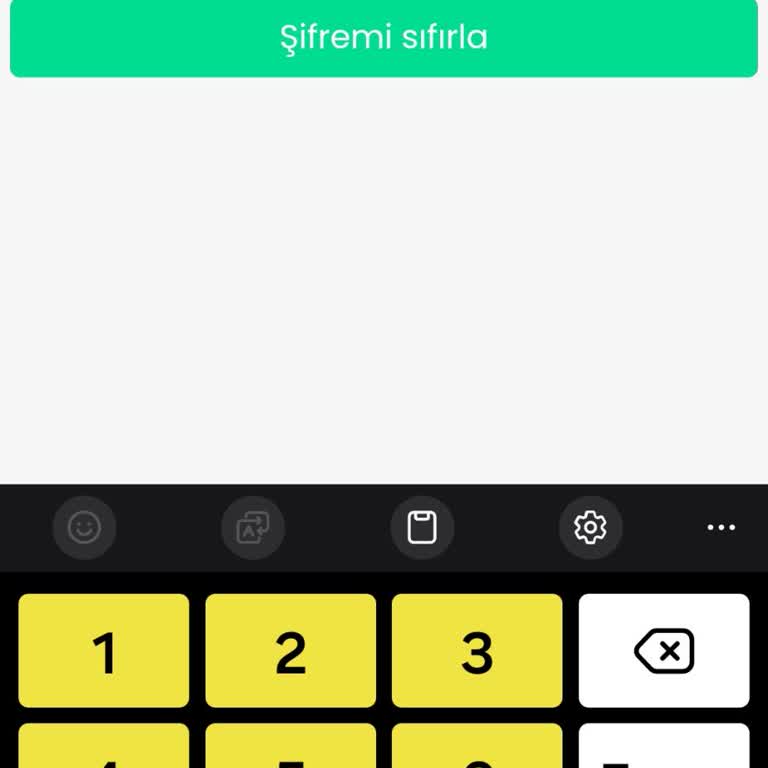 Hesaba Erişim Sorunu Ve Yetersiz Müşteri Hizmetleri