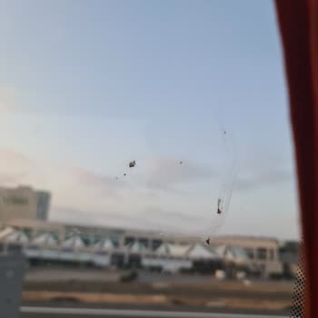 Eski Ve Kirli Otobüslerle Seyahat Kabusu