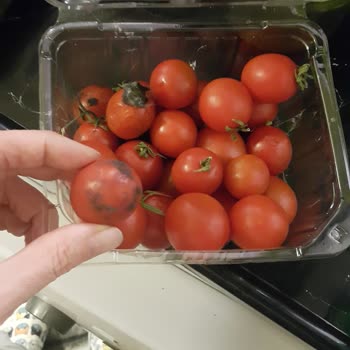 Çürük Domatesler Ve İade Sorunu: A101 Kapıda Hayal Kırıklığı