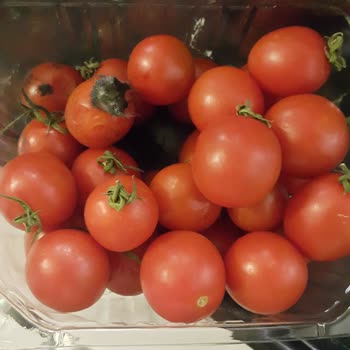 Çürük Domatesler Ve İade Sorunu: A101 Kapıda Hayal Kırıklığı