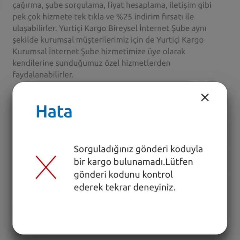 Kayıp Kargo: Süpürge Siparişim Nerede?