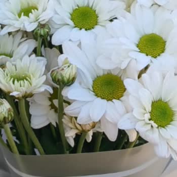 Çiçek Siparişimde İsim Ve Adres Sorunu