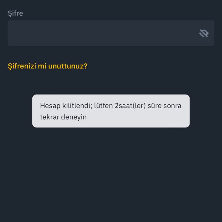 Binance Hesabına Erişim Sorunu