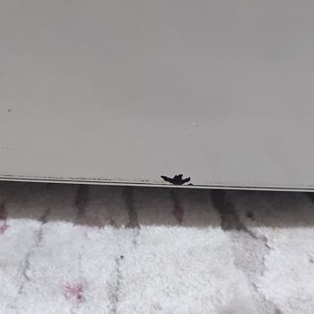 Bosch Beyaz Eşyada Boya Kabarması Ve Pas Sorunu