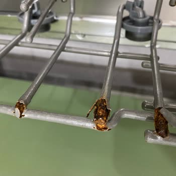 Samsung Bulaşık Makinesi Sepetlerinde Hızlı Paslanma Sorunu