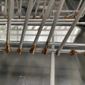 Samsung Bulaşık Makinesi Sepetlerinde Hızlı Paslanma Sorunu