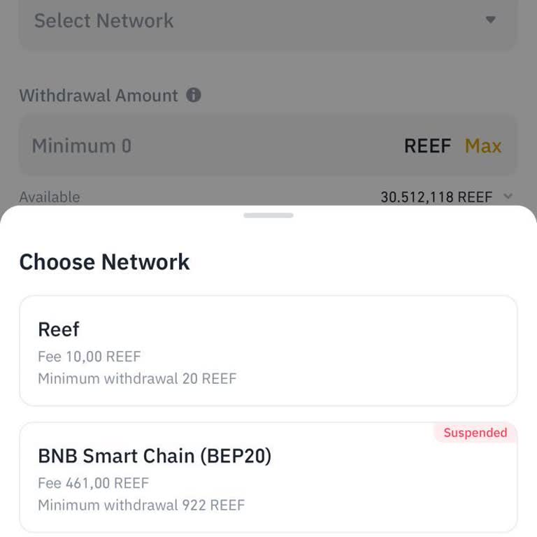 Binance Borsasında Delisted Edilen Reef Token Transfer Sorunu