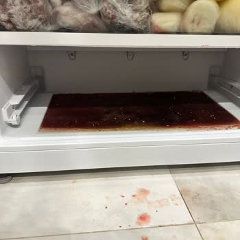 Neova Sigorta'nın Ekspertiz Hataları Ve Ödeme Reddine Tepki