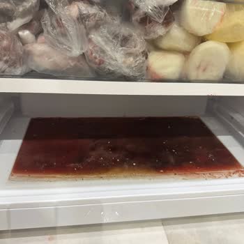 Neova Sigorta'nın Ekspertiz Hataları Ve Ödeme Reddine Tepki