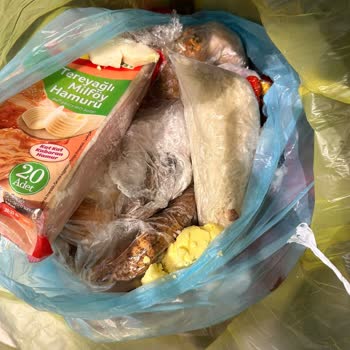 Neova Sigorta'nın Ekspertiz Hataları Ve Ödeme Reddine Tepki