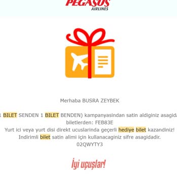 Pegasus'un Hediye Bilet Kampanyasında Yaşanan Sorunlar