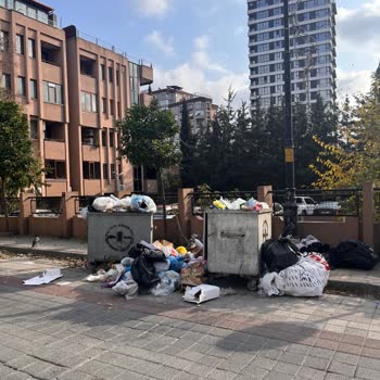 Çöp Yığınları Ve Sinekler: İdealtepe'nin Temizlik Sorunu