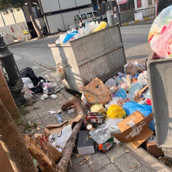 Çöp Yığınları Ve Sinekler: İdealtepe'nin Temizlik Sorunu
