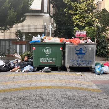 Çöp Yığınları Ve Sinekler: İdealtepe'nin Temizlik Sorunu