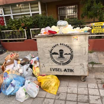 Çöp Yığınları Ve Sinekler: İdealtepe'nin Temizlik Sorunu