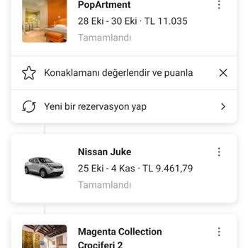 Uluslararası Ehliyet Krizi: Kiralık Araba Kabusu