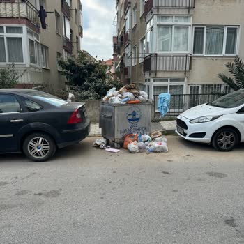 Maltepe Çınarlı Sokakta Çöp Sorunu Ve Engelli Vatandaşlar İçin Risk