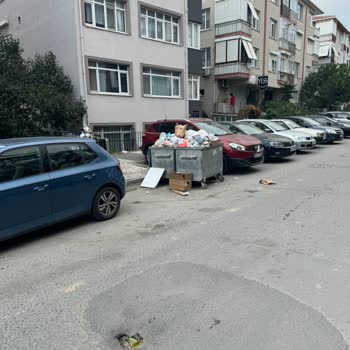 Maltepe Çınarlı Sokakta Çöp Sorunu Ve Engelli Vatandaşlar İçin Risk