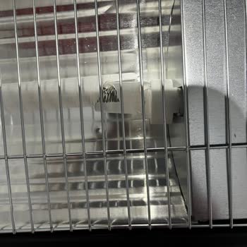 Kırık Ürün Ve Cevapsız Müşteri Hizmeti Sorunu