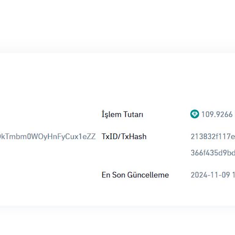 USDT Transferinde Memo Tag Sorunu Ve Geciken İade