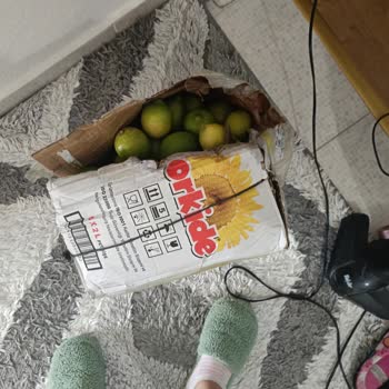 PTT Kargo Teslimatında Güvenlik Ve Saygı Sorunu