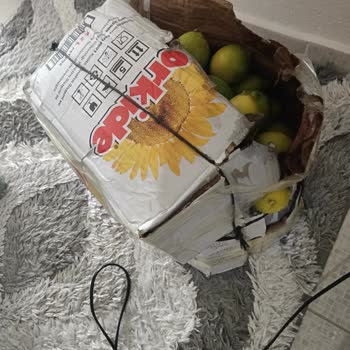 PTT Kargo Teslimatında Güvenlik Ve Saygı Sorunu