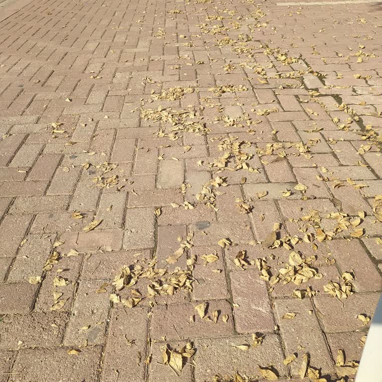 Kaldırım Temizliği İhmal Ediliyor