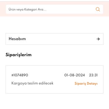 Kıyafet Sepeti blaues Kleid bestellt, keine Lieferung und Rückerstattung verzögert