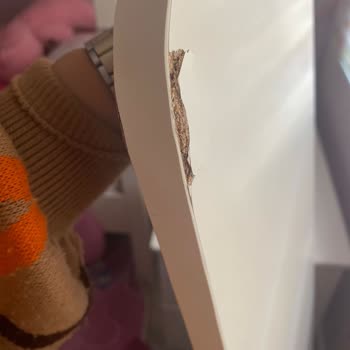Bellona'dan Beklenmeyen Hizmet: Ranza Sorunu Çözülmüyor!