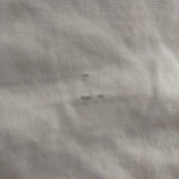 Bosch Çamaşır Makinesi Kıyafetlerimi Mahvetti!