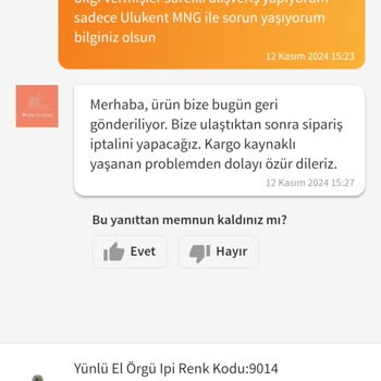 MNG Kargo Teslimat Sorunları Ve Müşteri Mağduriyeti