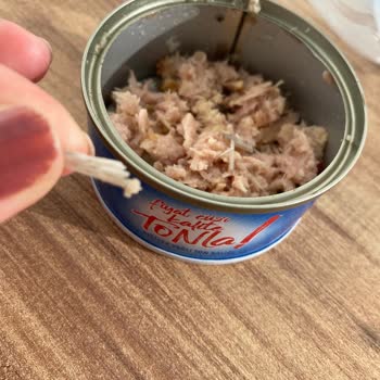 Ton Balığında Beklenmedik Kemik Sorunu