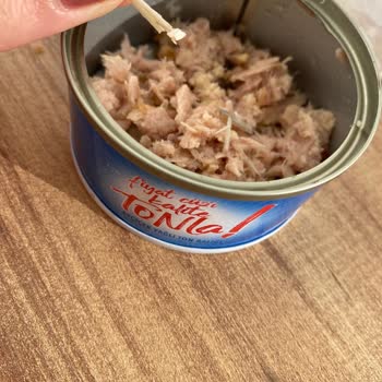 Ton Balığında Beklenmedik Kemik Sorunu