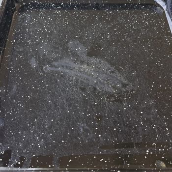 Trendyol'da Mağduriyet Ve Fiyat Artışı