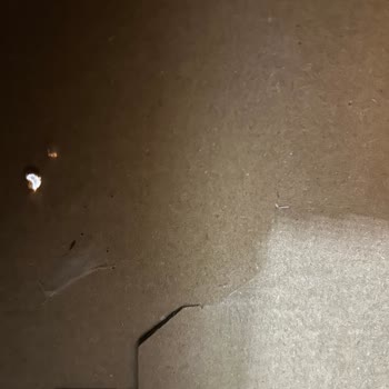 Ülker Bebe Bisküvisinde İhmalkarlık