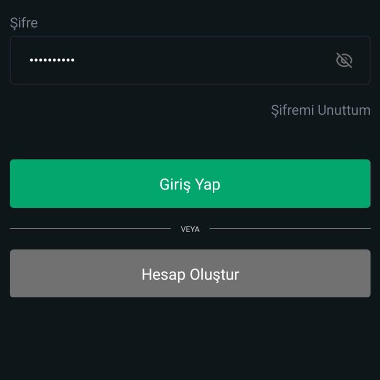 Bitci'ye Giriş Sorunu Ve Beklenmedik Hata