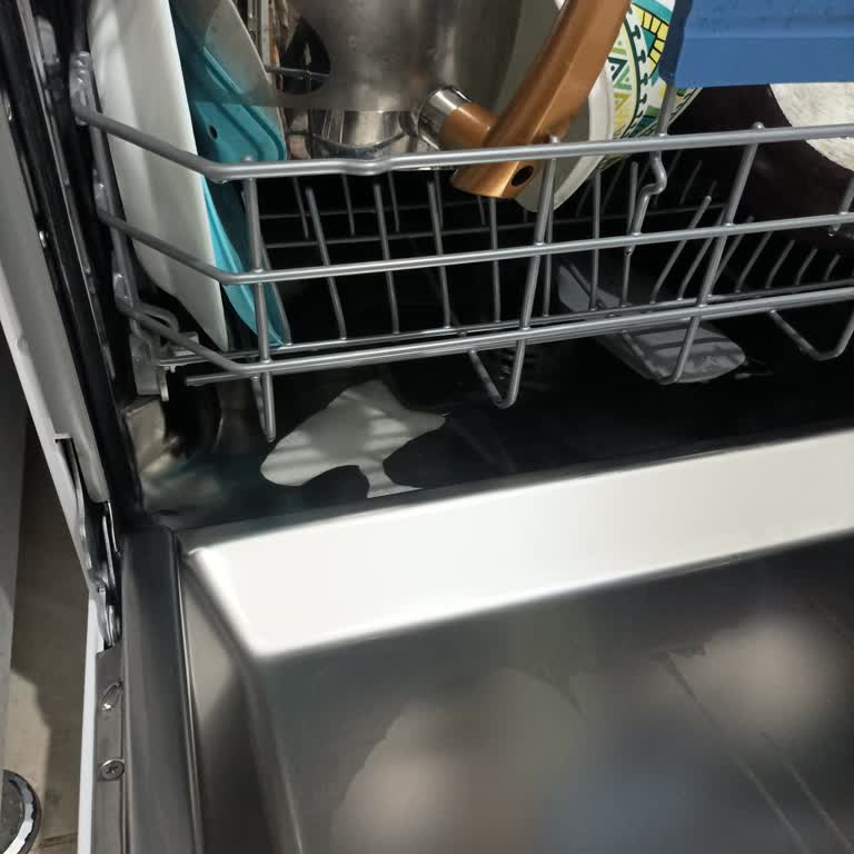 Bulaşık Makinesi Köpük Sorunu Acil Çözüm Bekliyor