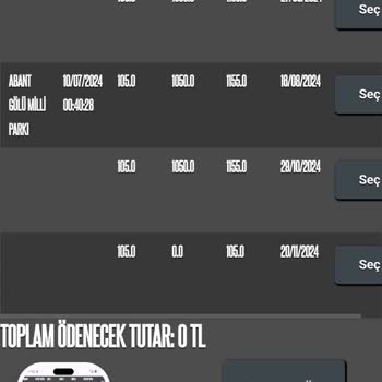 Hatalı HGS Cezası: Geçiş Yaptım, Borç Yok!