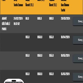 Hatalı HGS Cezası: Geçiş Yaptım, Borç Yok!