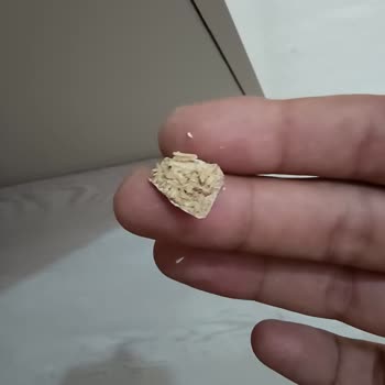 Eskişehir Mirella Home Pişman Etti