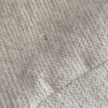 Mango Ürün Kalitesi Ve Müşteri Hizmeti Hayal Kırıklığı