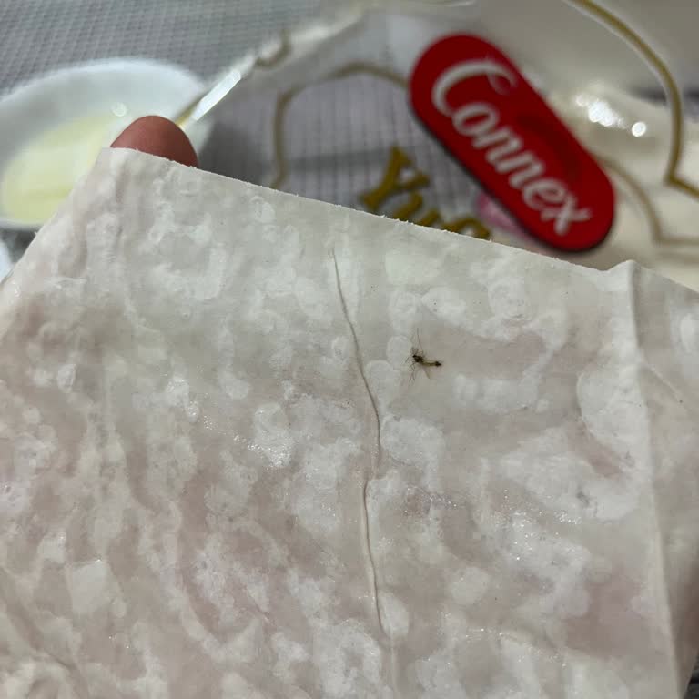 BİM'den Aldığım Yufkada Böcek Şoku