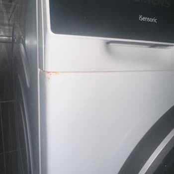 Siemens Çamaşır Makinesi: Küflenme Sorunu Ve Yetersiz Müşteri Hizmetleri